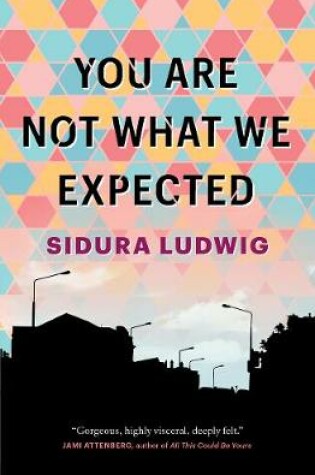 Cover of You Are Not What We Expected