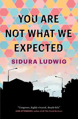Book cover for You Are Not What We Expected