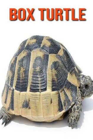 Cover of Box Turtle