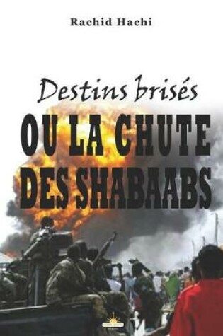 Cover of Destins Brisés