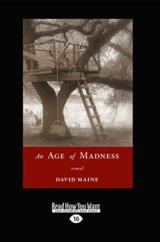 Cover of An Age of Maddness