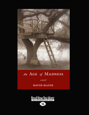 Book cover for An Age of Maddness