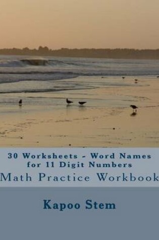 Cover of 30 Worksheets - Word Names for 11 Digit Numbers