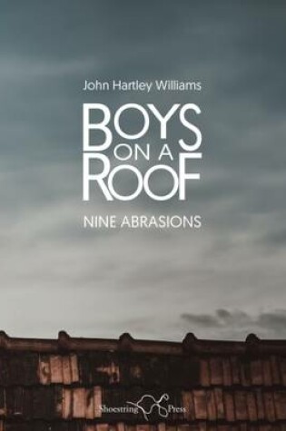 Cover of Boys on a Roof