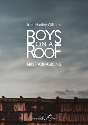 Book cover for Boys on a Roof