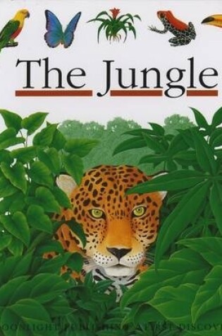 Cover of The Jungle