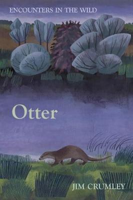 Book cover for Otter