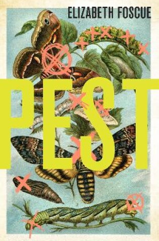 Cover of Pest