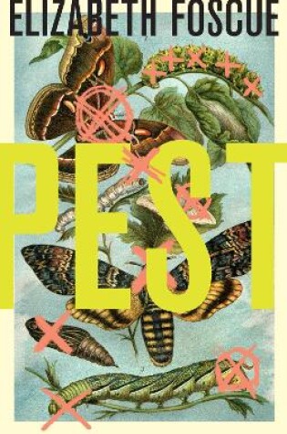 Cover of Pest