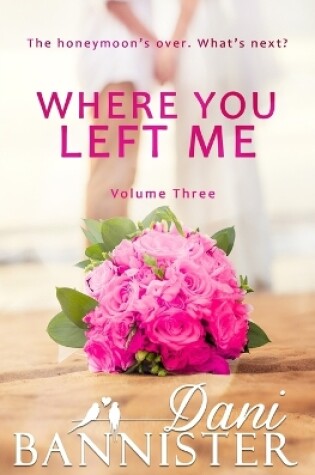 Cover of Where You Left Me, Vol. 3