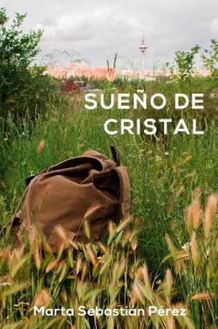 Cover of Sueño de cristal