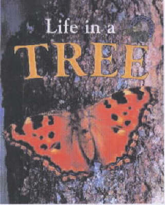 Book cover for Life in a Tree