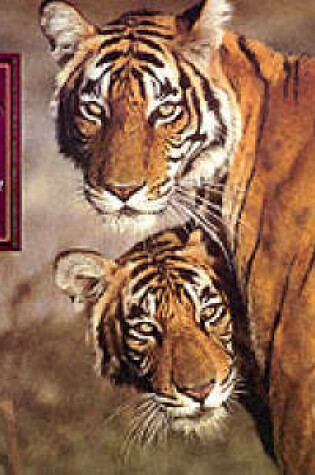 Cover of Tiger's Tale