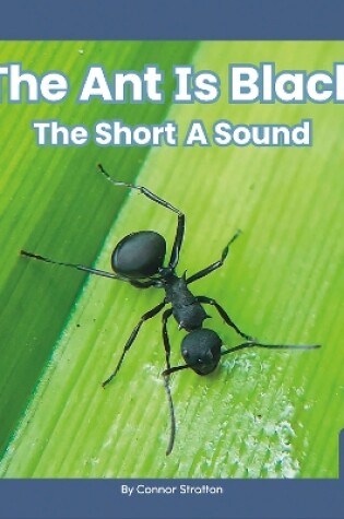 Cover of On It, Phonics! Vowel Sounds: The Ant is Black: The Short A Sound