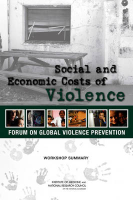 Book cover for Social and Economic Costs of Violence