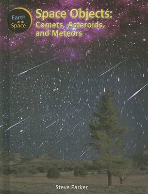 Book cover for Space Objects