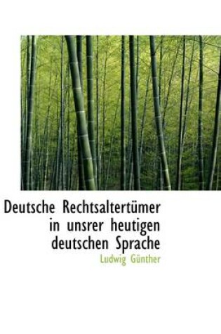 Cover of Deutsche Rechtsaltert Mer in Unsrer Heutigen Deutschen Sprache