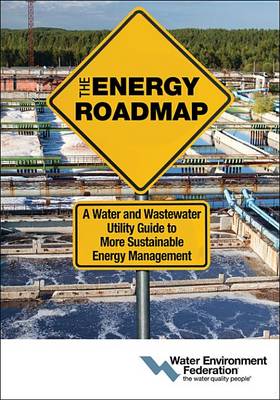 Book cover for The Energy Roadmap