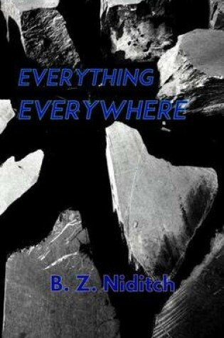 Cover of Everything, Everywhere