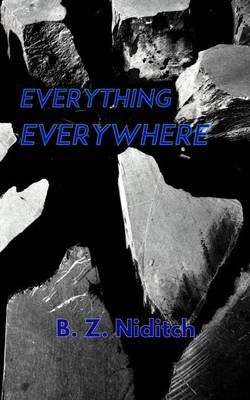 Book cover for Everything, Everywhere