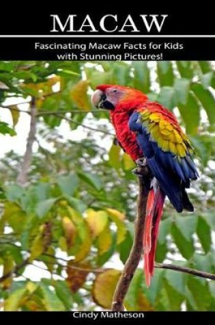 Cover of Macaw