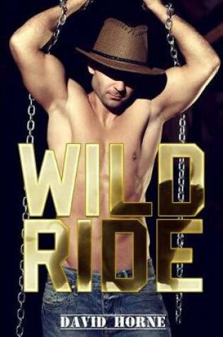 Cover of Wild Ride