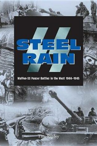 Cover of Steel Rain