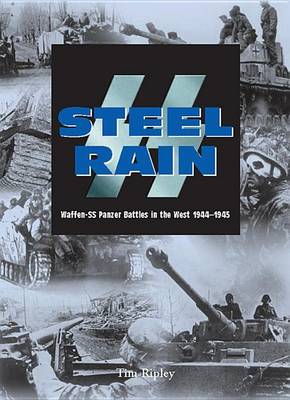 Book cover for Steel Rain