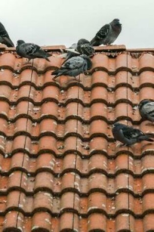 Cover of Pigeons on a Spanish Tile Roof Journal