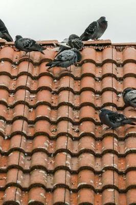 Book cover for Pigeons on a Spanish Tile Roof Journal