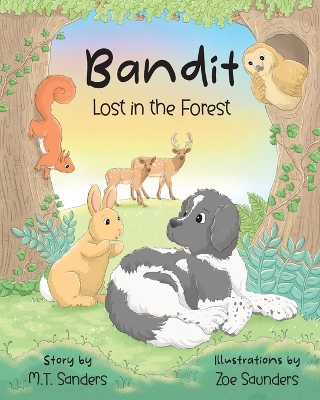 Book cover for Bandit - Lost in the Forest