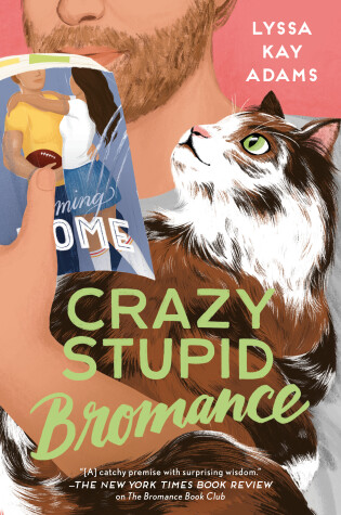 Cover of Crazy Stupid Bromance