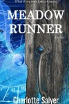 Book cover for Meadow Runner