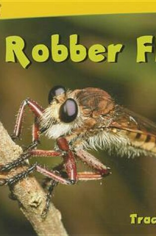 Cover of Robber Flies