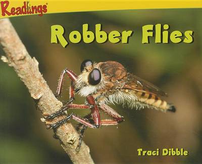 Book cover for Robber Flies