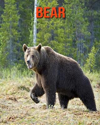 Book cover for Bear