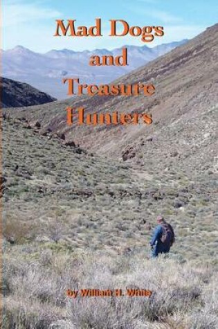 Cover of Mad Dogs and Treasure Hunters