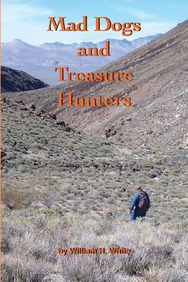 Book cover for Mad Dogs and Treasure Hunters