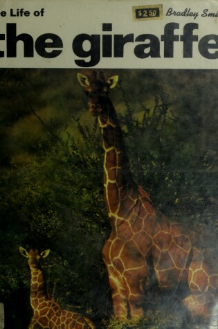 Cover of Life of the Giraffe