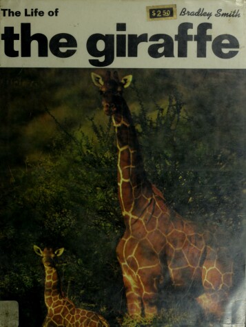 Book cover for Life of the Giraffe