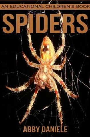 Cover of Spider! An Educational Children's Book about Spider with Fun Facts & Photos