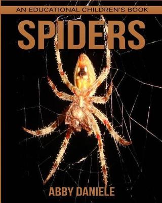 Book cover for Spider! An Educational Children's Book about Spider with Fun Facts & Photos