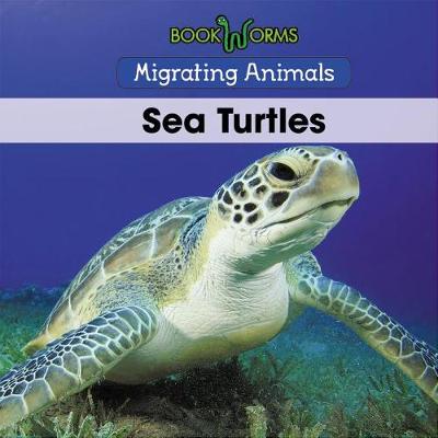 Book cover for Sea Turtles