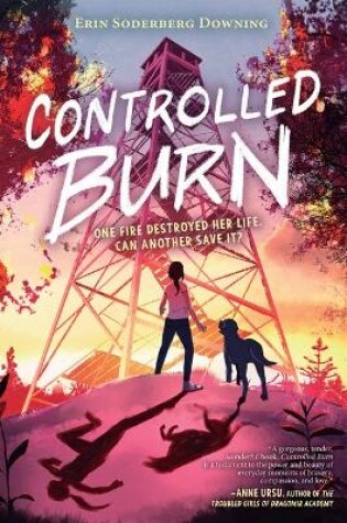 Cover of Controlled Burn