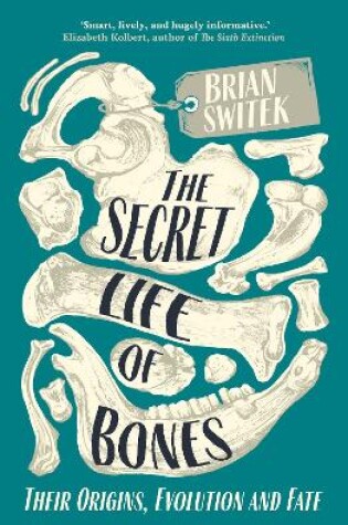 Cover of The Secret Life of Bones