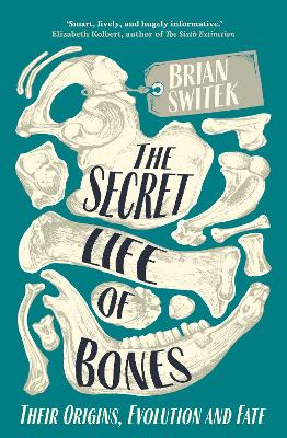 Book cover for The Secret Life of Bones