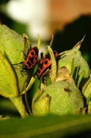 Cover of Firebug Pair Pyrrhocoris Apterus Journal