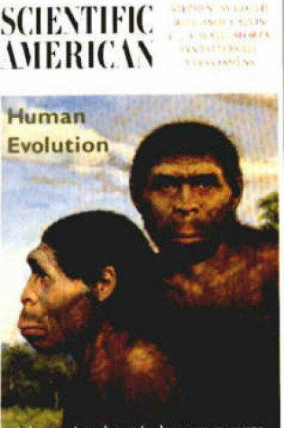 Cover of Human Evolution