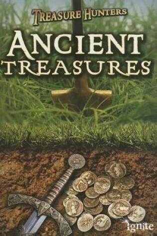 Cover of Treasure Hunters Ancient Treasures