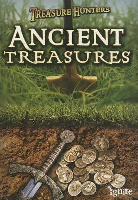 Book cover for Treasure Hunters Ancient Treasures